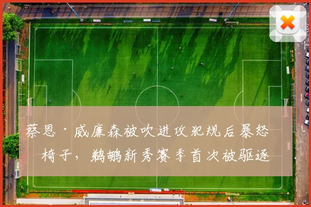 蔡恩·威廉森被吹进攻犯规后暴怒砸椅子，鹈鹕新秀赛季首次被驱逐